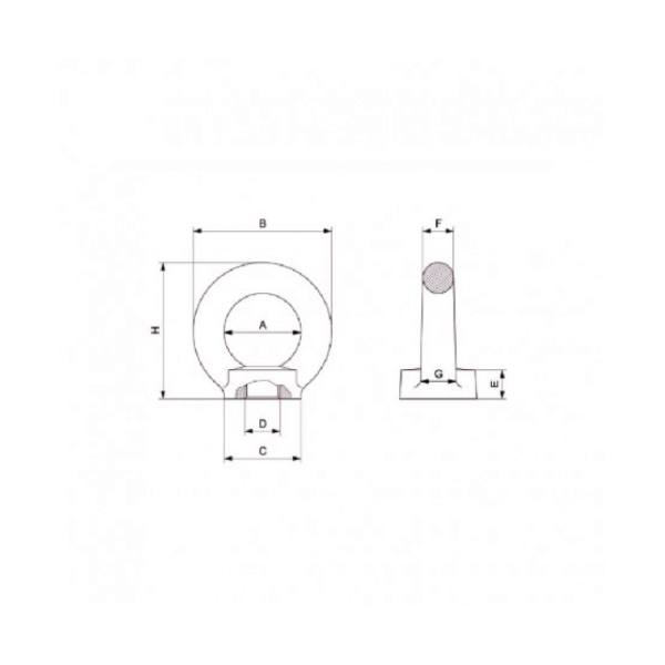 Golfari Femmina DIN 582 - Acciaio grezzo