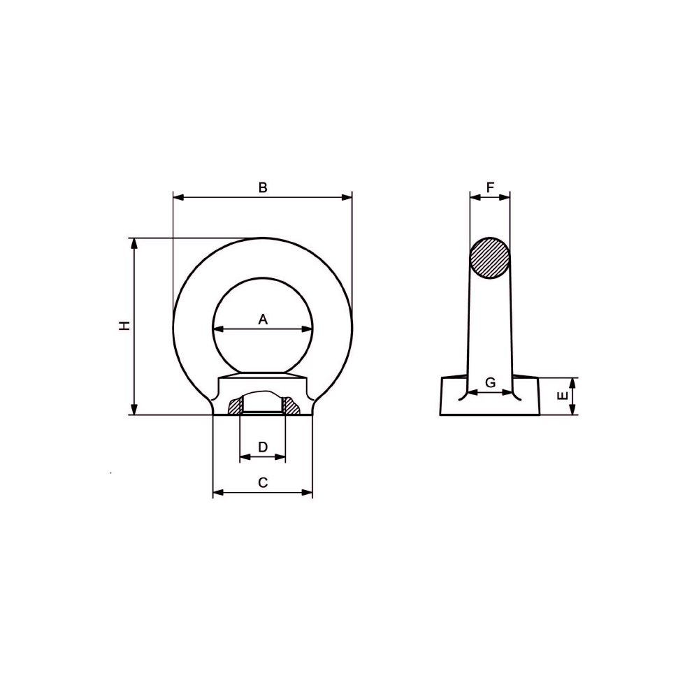 Golfari Femmina DIN 582 - Acciaio inox