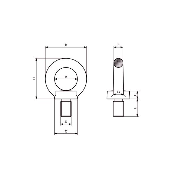 Golfari Maschio DIN 580 - Acciaio inox