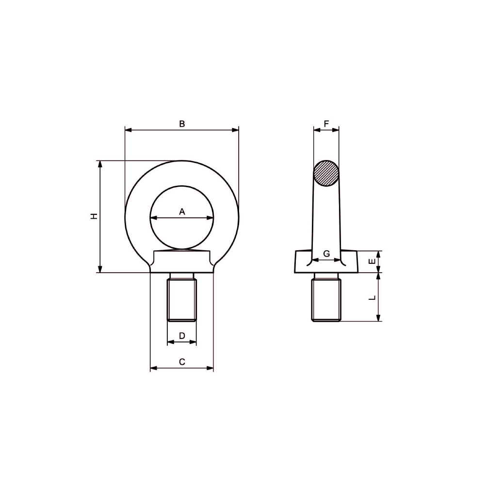 Golfari Maschio DIN 580 - Acciaio inox